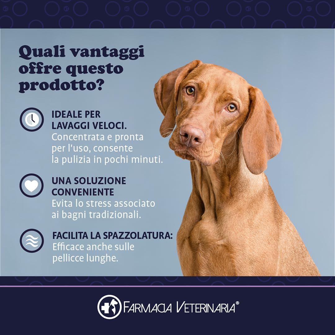 Shampoo Spray a Secco per Cani: Pulito e Profumato in 5 Minuti, Senza Bagno e Senza Acqua